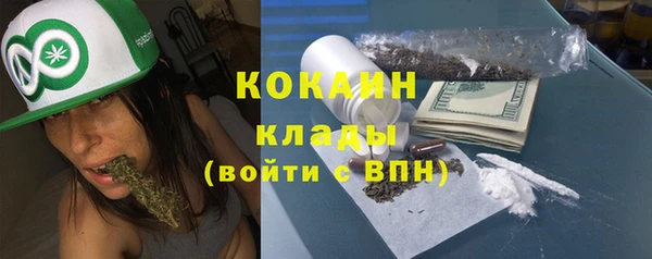 ГАЛЛЮЦИНОГЕННЫЕ ГРИБЫ Абаза