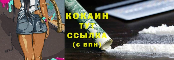 spice Шали