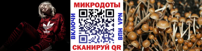 наркошоп  Динская  ОМГ ОМГ как зайти  Галлюциногенные грибы Psilocybe 